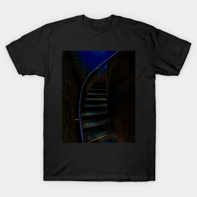 Remember You want to Go Up T-Shirt by PictureNZ